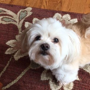 Meet your Posher, Denise